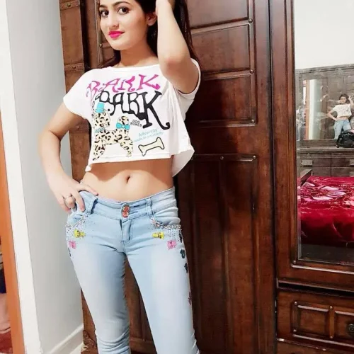 Bilaspur Call Girl service